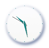 Режим работы 31 декабря и 1 января - 1 слайд