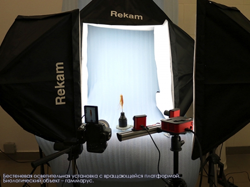 Проект по созданию 3D-моделей байкальских эндемиков - 2 слайд