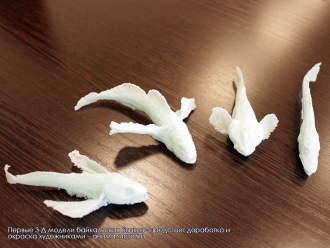 Миниатюра - 5 слайд