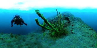 C 01.05.2022 в музее открывается новая экспозиция «Тайны байкальских глубин. Загадки биоразнообразия»