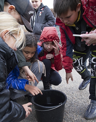 206 учащихся школ города Иркутска прошли практикум по байкаловедению  в Байкальском музее - 4 слайд