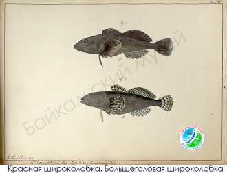 Миниатюра - 3 слайд