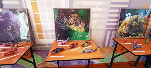 Байкальский музей принял участие в организации и проведении региональной методической школы «Особенности преподавания курса Байкаловедение» - 2 слайд