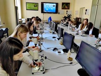 Миниатюра - 7 слайд