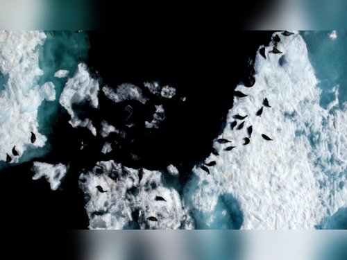 Открытие навигации на Байкале - 2 слайд