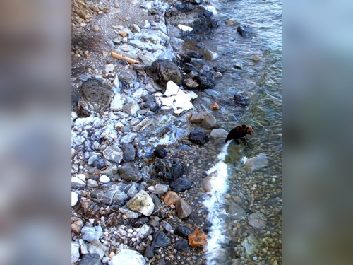 Открытие навигации на Байкале - 5 слайд