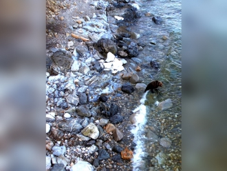 Миниатюра - 5 слайд