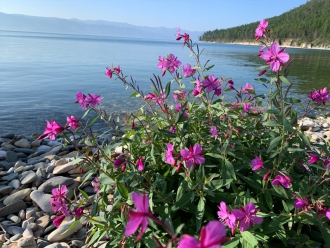 Миниатюра - 5 слайд