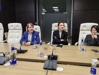 Миниатюра - 11 слайд