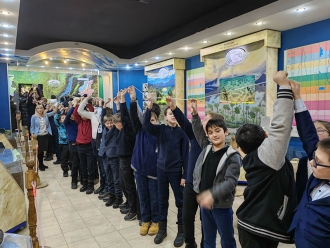 Миниатюра - 5 слайд