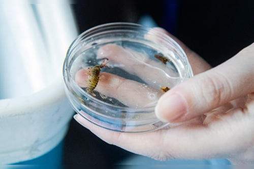 Зимняя школа Плавучего университета 2025 в Байкальском музее - 6 слайд