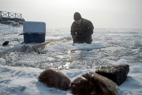 Зимняя школа Плавучего университета 2025 в Байкальском музее - 4 слайд