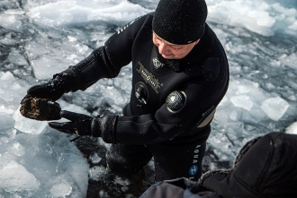 Миниатюра - 3 слайд