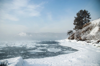 День российской науки