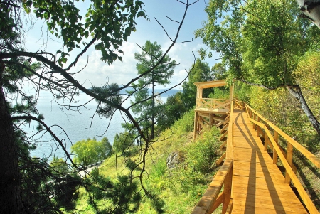 Дендропарк - 1 слайд