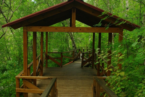 Дендропарк - 2 слайд