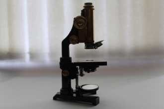 Миниатюра - 7 слайд