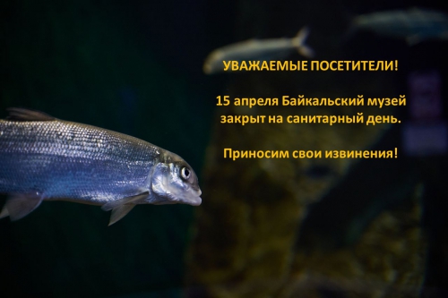 Cанитарный день - 1 слайд