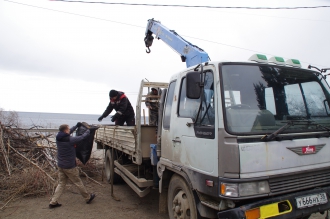 Миниатюра - 9 слайд