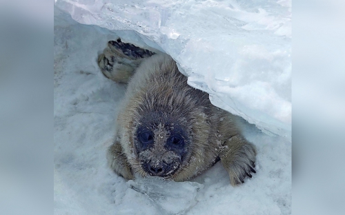 Открытие экспедиционного сезона 2025 - 1 слайд