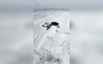 Миниатюра - 7 слайд