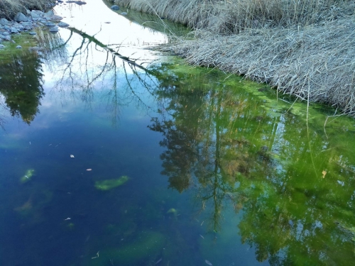 Экспедиционные работы - 3 слайд