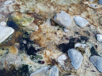 Миниатюра - 2 слайд