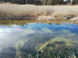 Миниатюра - 5 слайд