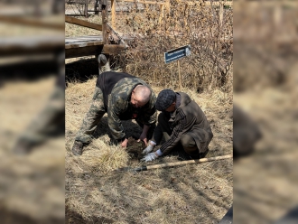 Миниатюра - 3 слайд