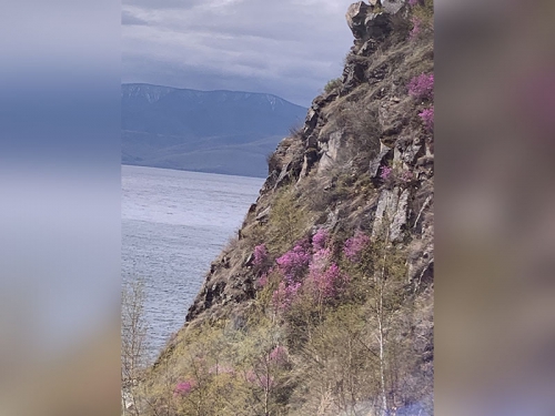 Маритуй в 1925 и 2025 году - 16 слайд