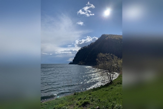 Миниатюра - 3 слайд