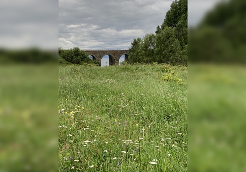 Школьная научно-исследовательская экспедиция в Маритуе - 8 слайд