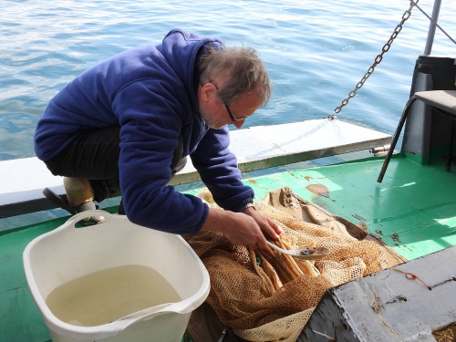 Ихтиологическая экспедиция на НИС «Профессор А. А. Тресков» - 6 слайд