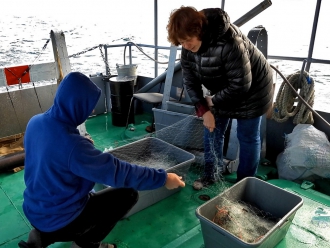 Миниатюра - 3 слайд