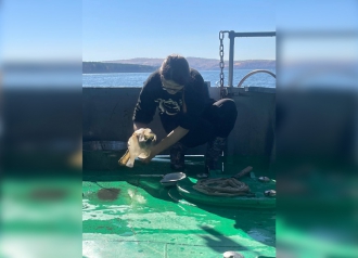 Миниатюра - 5 слайд